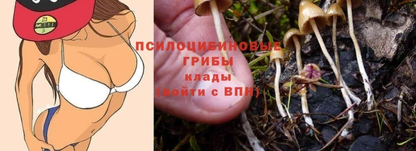 гидра Алексеевка