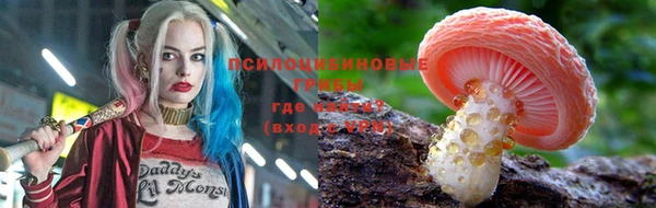 кокаин колумбия Алексин