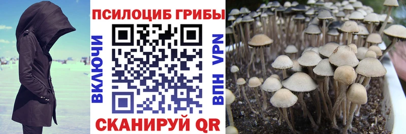 Псилоцибиновые грибы GOLDEN TEACHER  Строитель 